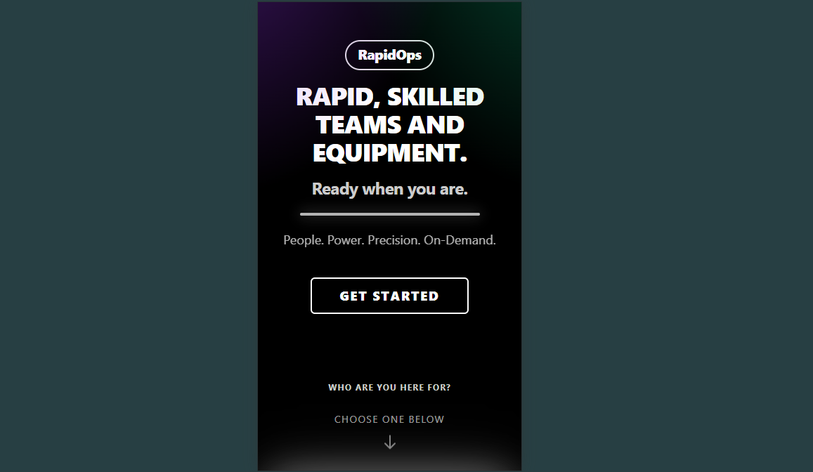 RapidOps Landing Page preview