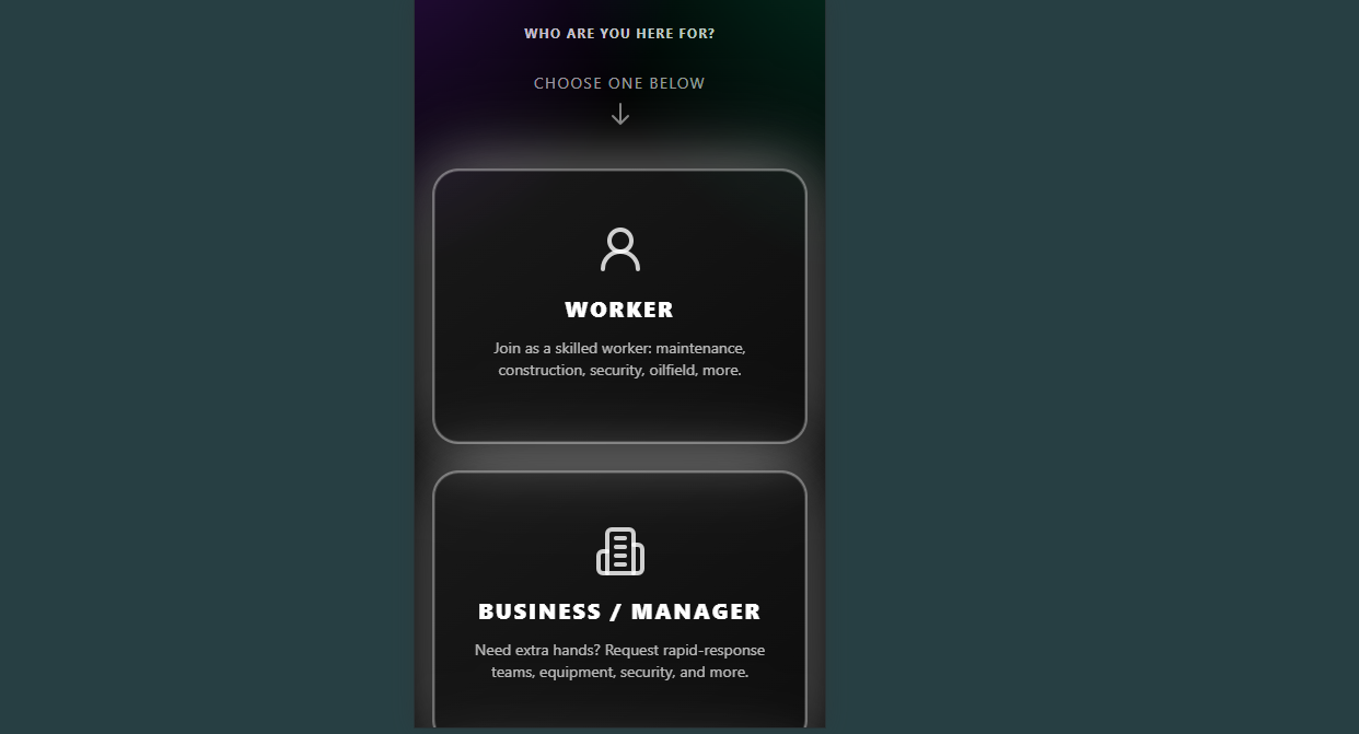 RapidOps Landing Page preview